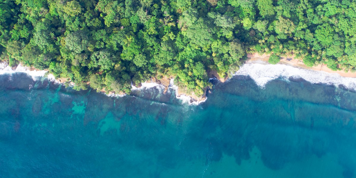  Refugio Nacional Vida Silvestre - Gandoca - Manzanillo - Mirador Manzanillo Limón 