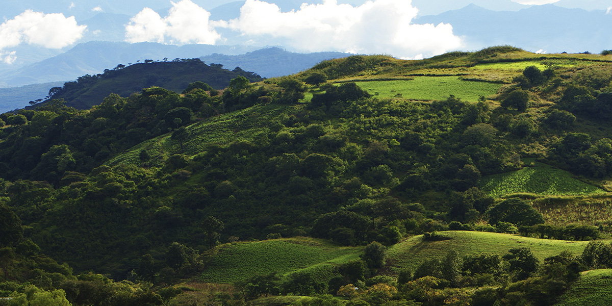  Reserva Tisey-Estanzuela - Centroamérica 