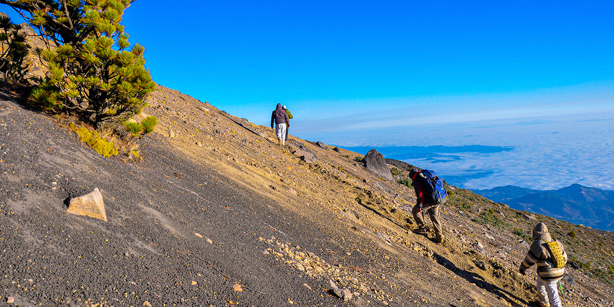  Ascenso al Volcán de Acatenango 