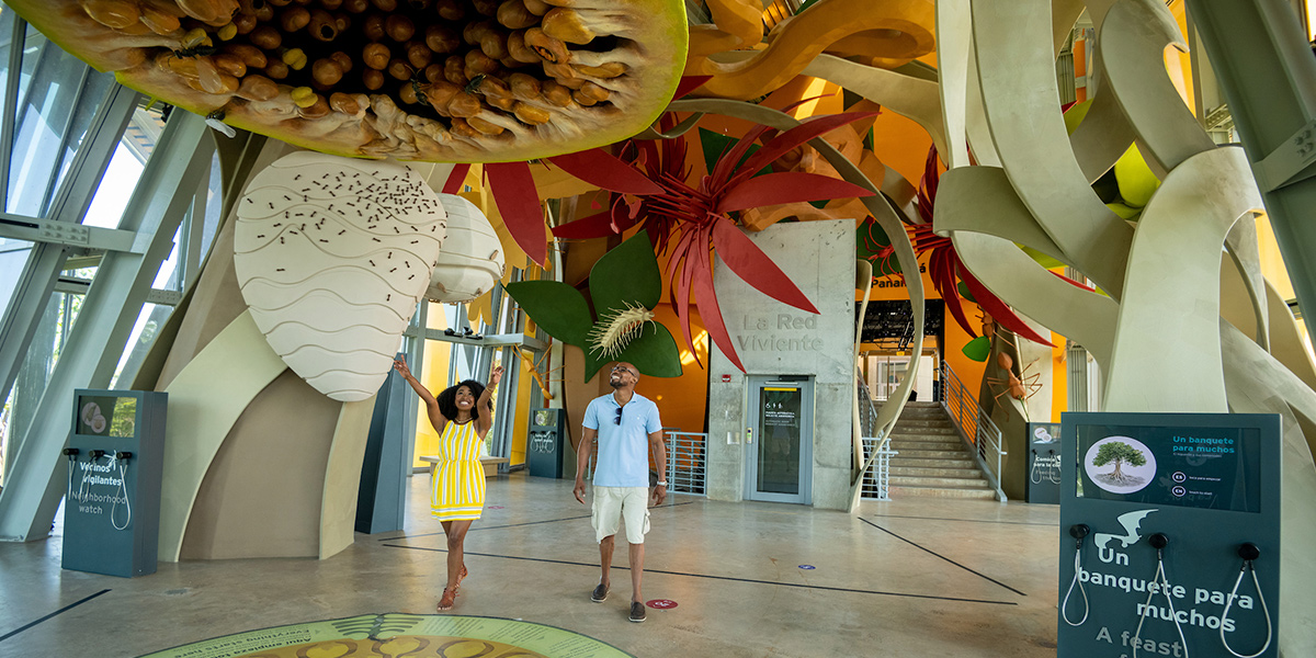  Biomuseo At Amador Causeway Panama City Biodiversidad 