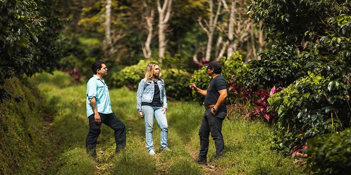  Finca Lérida, Boquete, Chiriquí province 