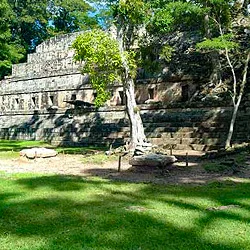 Mayans and caribbean feel