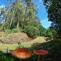 Nature in Costa Rica, and Colonial Cities in Nicaragua