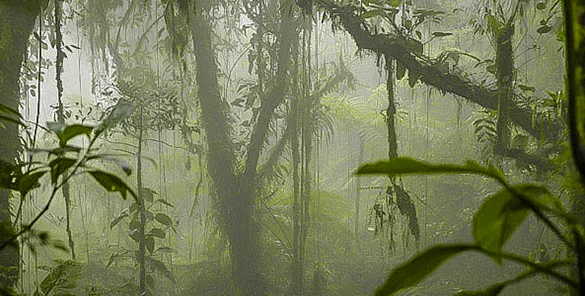 Mayan heritage and nature.