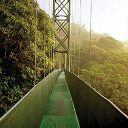 Bosque Nuboso, Costa Rica, Centroamérica