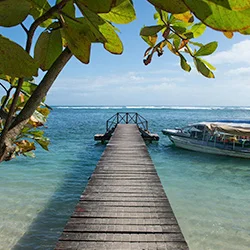 Islands Bocas Del Toro