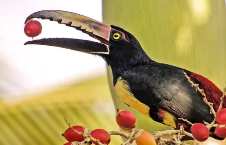 Costa Rica, Central America