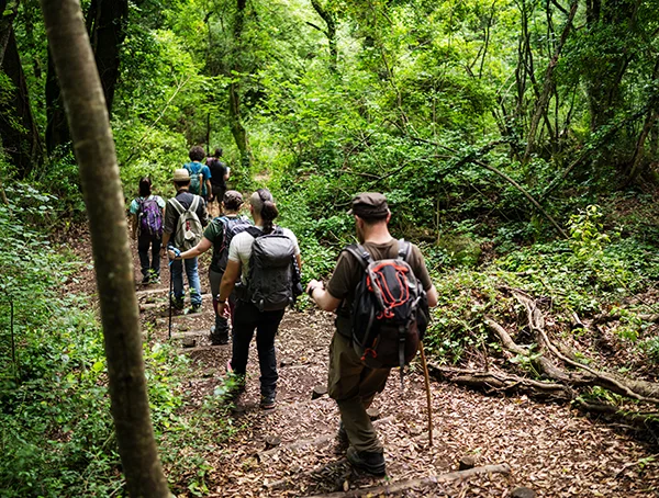 Integración regiona