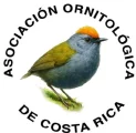 Asociación Ornitológica de Costa Rica