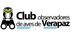 Club Observadores de aves de Verapaz