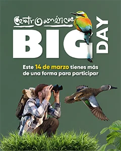 Formas de participar en el Centroamérica BIG Day 2026