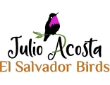 Juli0 Acosta. El Salvador Birds