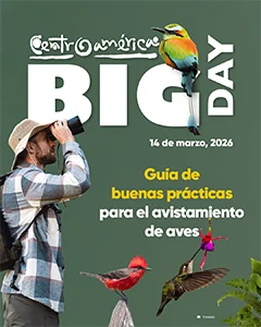 Guía de buenas prácticas para el avistamiento de aves. Centroamérica BIG Day 2026