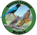 Spanish Lookout Birders