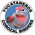 Yucataneros Corozal Birders