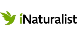 iNaturalist